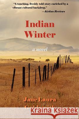 Indian Winter Jane Goldsmith 9780984953677 Full Court Press