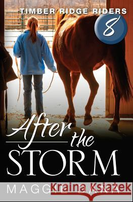 After the Storm Maggie Dana 9780985150471 Pageworks Press