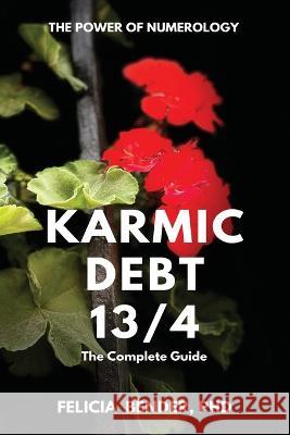 The Power of Numerology: Karmic Debt 13/4 Felicia Bender 9780985168230