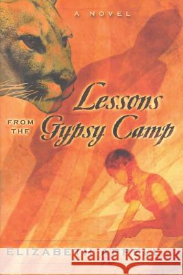 Lessons from the Gypsy Camp: Consequences Elizabeth Appell 9780985183363 Scribes Valley Publishing Company