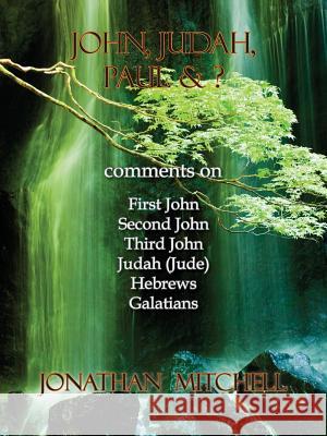 John, Judah, Paul & ?: Comments on First John, Second John, Third John, Judah (Jude), Hebrews, Galatians Mitchell, Jonathan Paul 9780985223144 Harper Brown Publishing