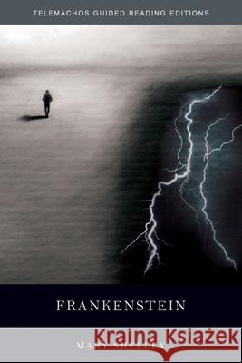 Frankenstein Mary Wollstonecraft Shelley 9780985384999