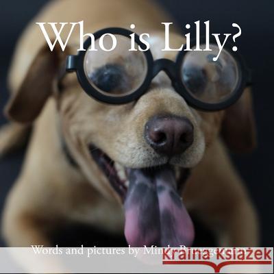 Who is Lilly? Brueggemann, Mindy 9780985567613 Dankworth Publishing