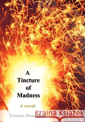 A Tincture of Madness Terence Donnellan 9780985677404 Terence Donnellan