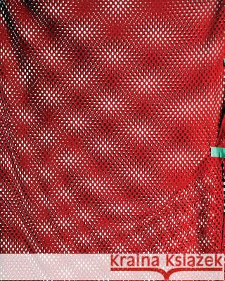 Issue #7/8: Sports Astria Suparak Brett Kashmere 9780985741976 Incite Journal of Experimental Media