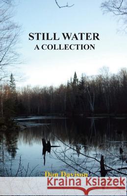 Still Water: A Collection Don Davison 9780985813048 Zirahuen