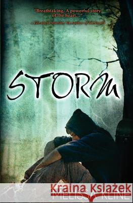 Storm Melissa Kline 9780985813444 Dreamfusion Press, LLC