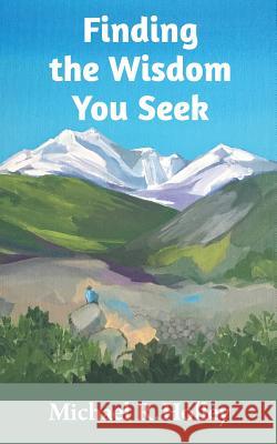 Finding the Wisdom You Seek: Hidden where you will never look Schmidt, Cheryl 9780986228636 Hopeful Publishing Company, Inc.