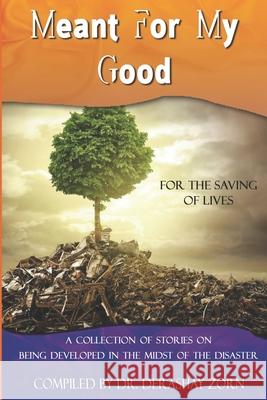 Meant For My Good: Being Developed in the Midst of the Disaster Jacqueline Goodwin Keiaundria Wilson Toshuna Hanna 9780986249327 D.O.R.M. International Publishing