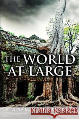 The world at large: You only Live Twice Harry Althoff Angie Alaya Adam Mehaffey 9780986372131