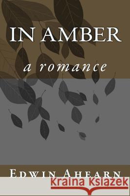 In Amber: a romance Ahearn, Edwin 9780986384813 Janat Horn