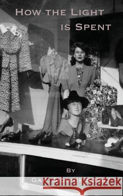 How the Light is Spent Sobat, Gail Sidonie 9780986547393 Wintergreen Studios Press