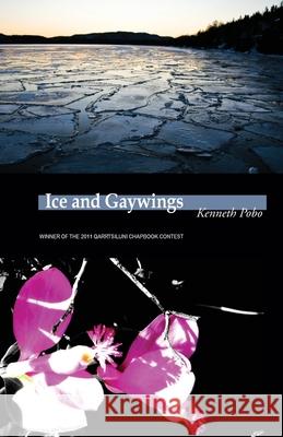 Ice and Gaywings Kenneth Pobo 9780986690945