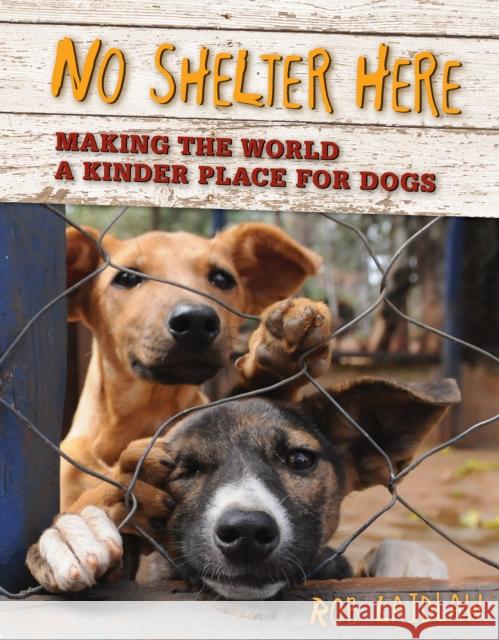 No Shelter Here: Making the World a Kinder Place for Dogs Laidlaw, Rob 9780986949524 Pajama Press
