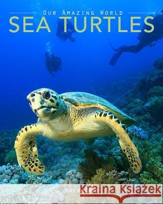 Sea Turtles: Amazing Pictures & Fun Facts on Animals in Nature Kay D 9780987597069 Aurora