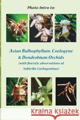 Photo Intro to: Asian Bulbophyllum, Coelogyne & Dendrobium Orchids (with floristic observations of Subtribe Coelogyninae) Rice, Rod 9780987620668 Nature & Travel Books