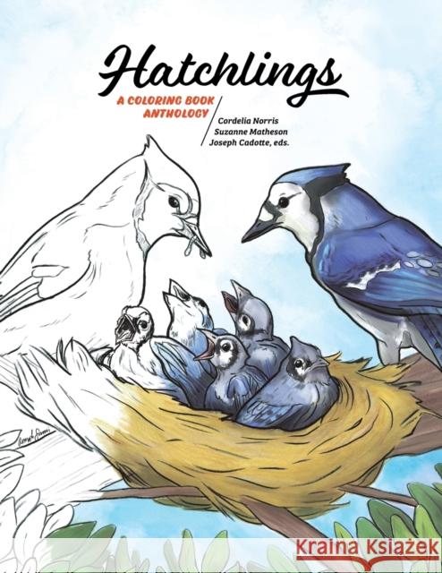 Hatchlings: A Coloring Book Anthology Cordelia Norris, Suzanne Matheson, Joseph Cadotte 9780988188990