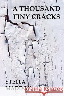 A Thousand Tiny Cracks Stella Maddox 9780988542785