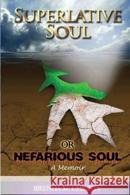 Superlative soul or Nefarious soul Christy, Brenda M. 9780989168601 Brenda M. Christy