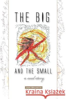 The Big and the Small: A Soul Story Jane Brunette 9780989260541