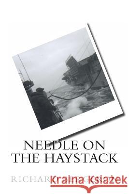 Needle on the Haystack Richard Bergeron 9780989354318