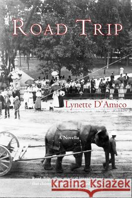 Road Trip Lynette D'Amico   9780989515191