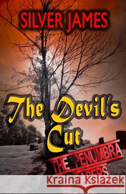 The Devil's Cut Silver James 9780989921787 Silver James Author