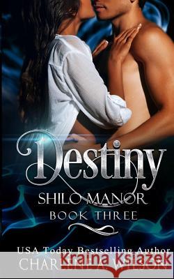 Destiny: Multi-Dimensional Soul Mates Charlene a. Wilson 9780989984652 Spectrum Publishing