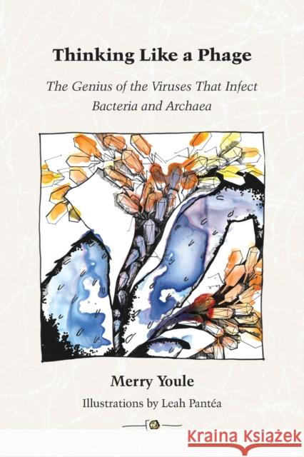 Thinking Like a Phage: The Genius of the Viruses That Infect Bacteria and Archaea Merry Youle Leah Pantea 9780990494317 Wholon