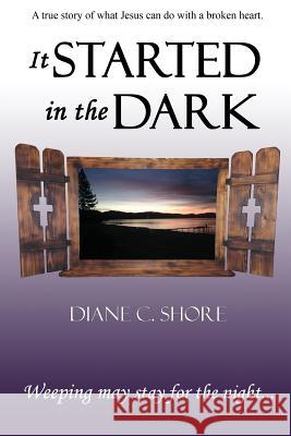 It Started In The Dark: Weeping may stay for the night Dixon, Connie 9780990523109 Dcshore Publishing