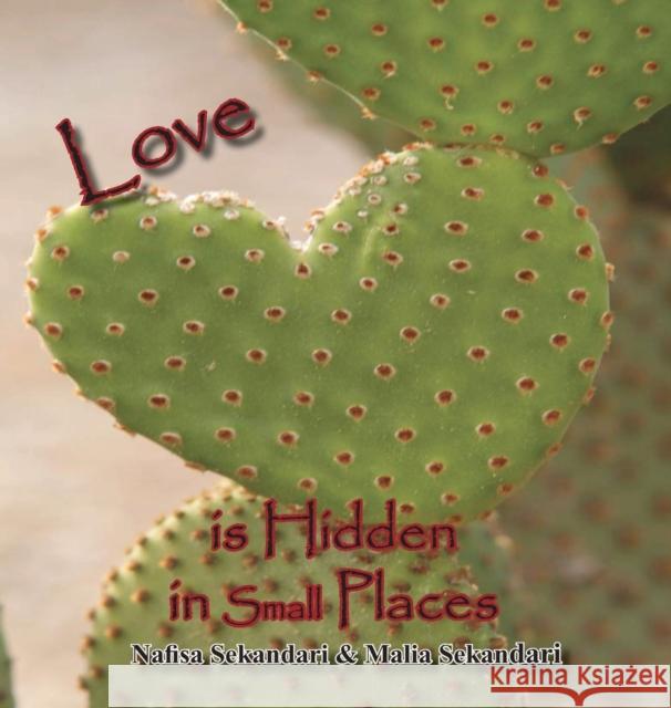 Love Is Hidden in Small Places Nafisa Sekandari Malia Sekandari 9780990901600 Avagana Publishing