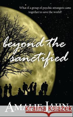 Beyond the Sanctified Amalie Jahn 9780991071357 Bermlord