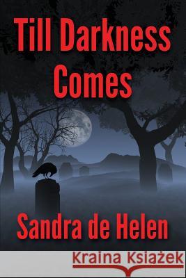 Till Darkness Comes Sandra D Beverly Standish 9780991079247 McCorkle Ink