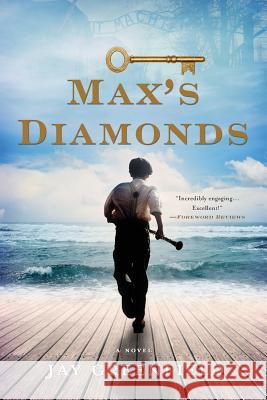 Max's Diamonds Jay Greenfield 9780991327423 Chickadee Prince Books