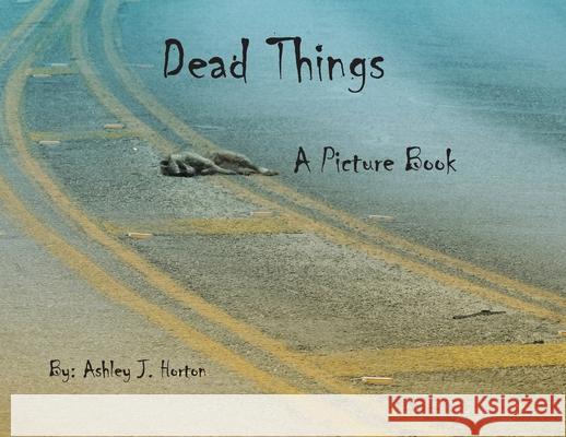 Dead Things A Picture Book Ashley J. Horton 9780991421145