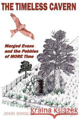 The Timeless Cavern: Marged Evans and the Pebbles of MORE Time Dingley, John 9780991442348 Gwenwst Books