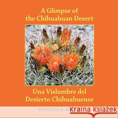 A Glimpse of the Chihuahuan Desert: Una Vislumbre del Desierto Chihuahuense Patricia R. Mihok Donna Yargosz 9780991573806 Mogollon Publications