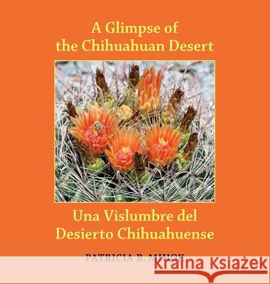A Glimpse of the Chihuahuan Desert/Una Vislumbre del Desierto Chihuahuense Patricia R. Mihok Donna Yargosz Caiti Steele 9780991573813 Mogollon Publications