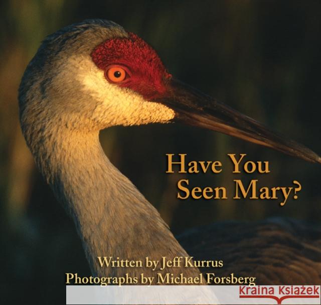 Have You Seen Mary? Jeff Kurrus Keanna Leonard 9780991638901 Michael Forsberg Photography