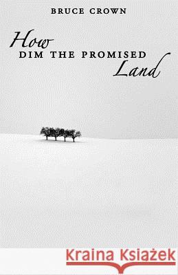 How Dim the Promised Land Bruce Crown 9780991888344