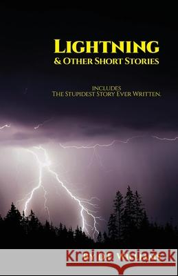 Lightning & Other Short Stories D. F. Williams 9780991968879 Ember-Link International, Inc