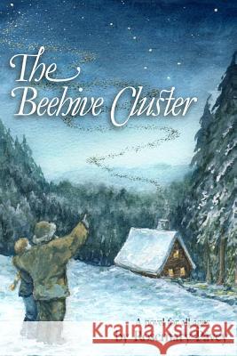 The Bee Hive Cluster: A Novel for All Ages Rosemary Pavey 9780992746308