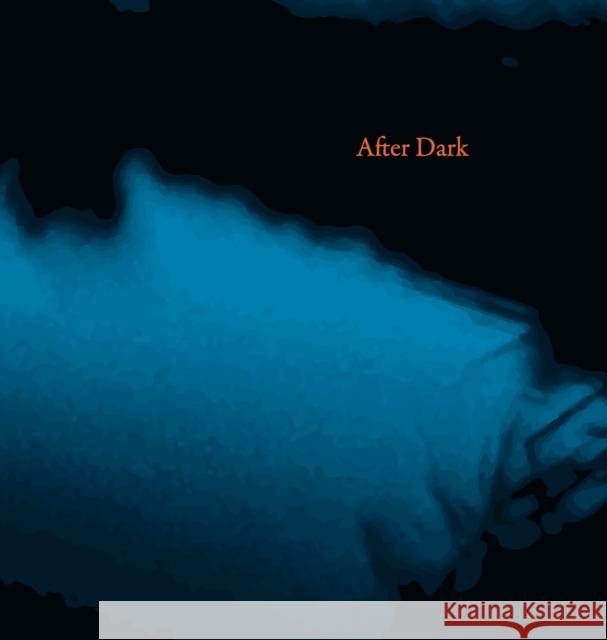 After Dark Martyn Clark   9780992806040 Gadfly Editions