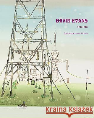 David Evans (1929-1988) Paul Liss Pete Gage Alistair Hicks 9780993088469