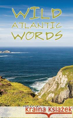 Wild Atlantic Words Meas Writers 9780993178429