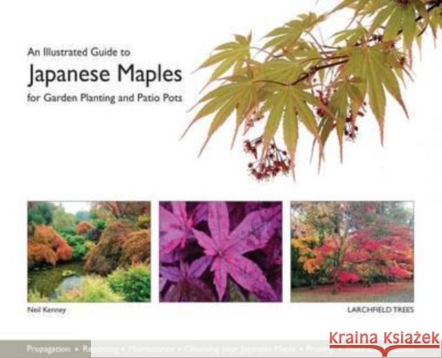 An Illustrated Guide to Japanese Maples for Garden Planting and Patio Pots Neil Kenney Catherine Kenney  9780993213304