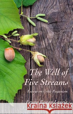 The Well of Five Streams Erynn Rowan Laurie   9780993237119