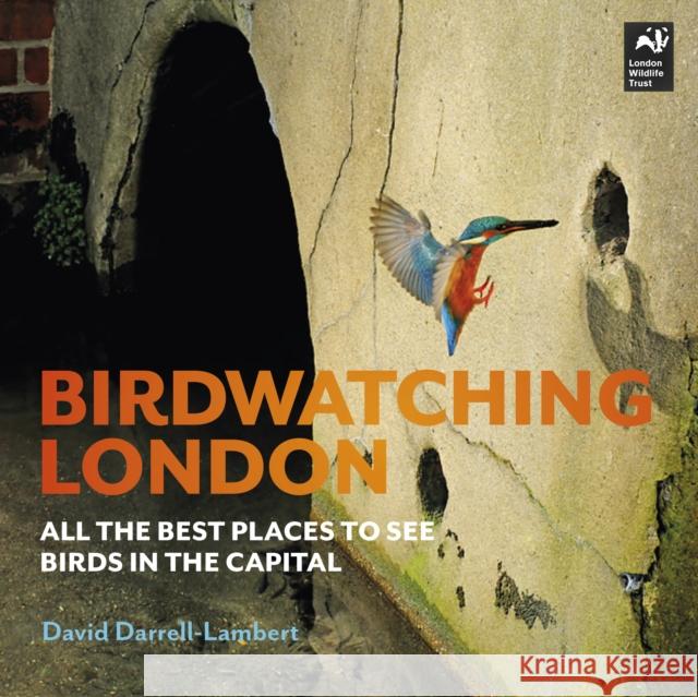 Birdwatching London: The Best Places to See Birds in the Capital David Darrell-Lambert 9780993291159