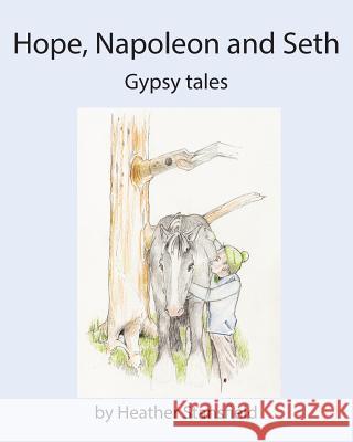Hope, Napoleon & Seth Heather Stansfield 9780993359903 Inspirational Faith