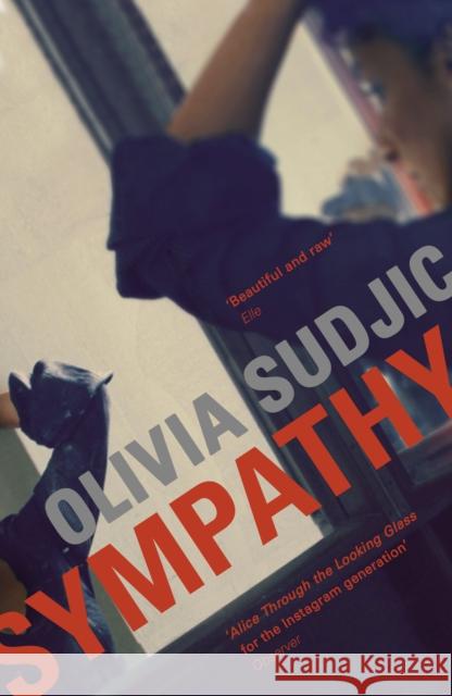 Sympathy Sudjic, Olivia 9780993506260 Pushkin Press